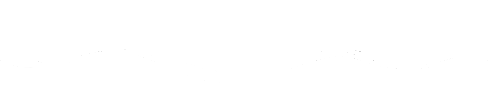 Schwimmschule Wellenreiter GmbH - Symbol