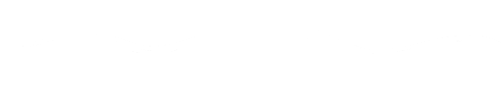Schwimmschule Wellenreiter GmbH - Symbol